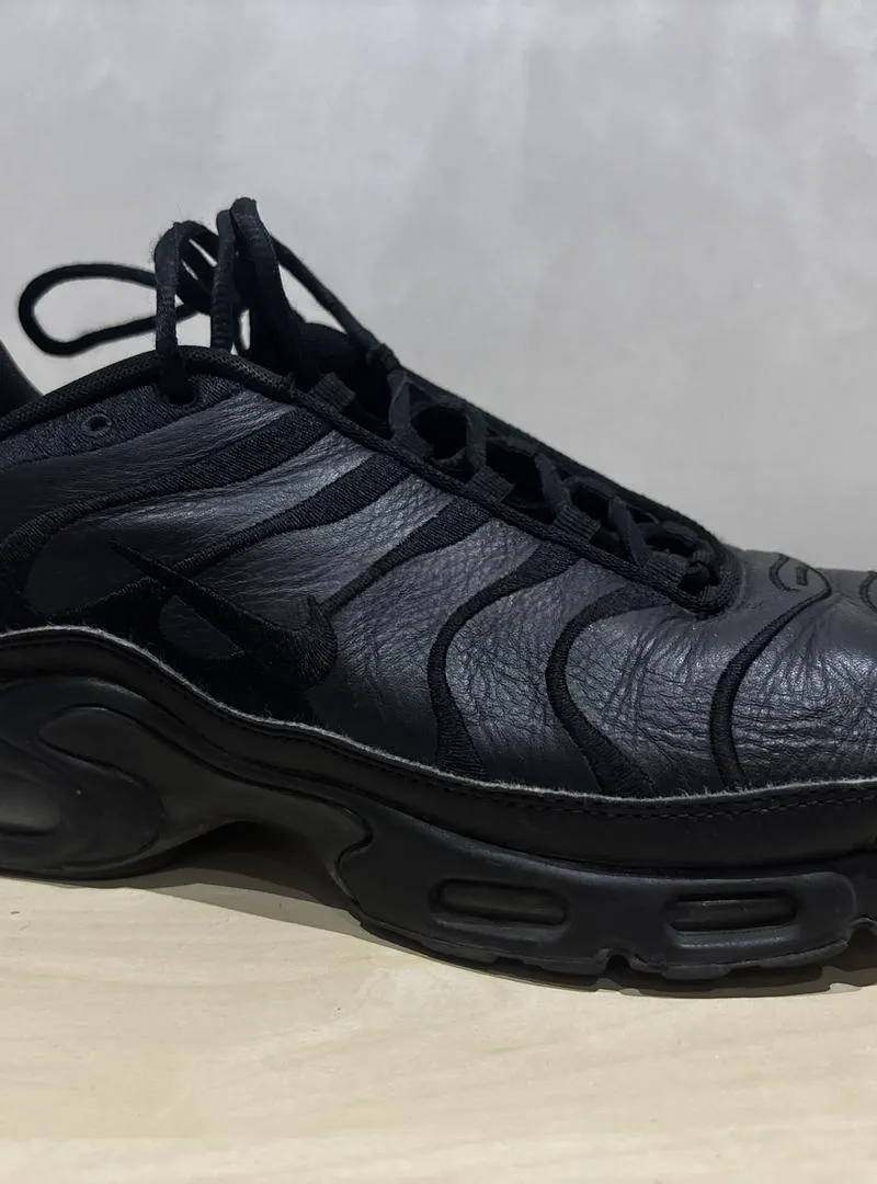 Nike Air Max Plus TN – Très bon état