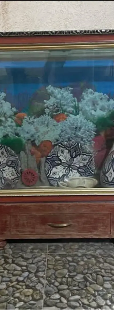 Aquarium pour les poissons