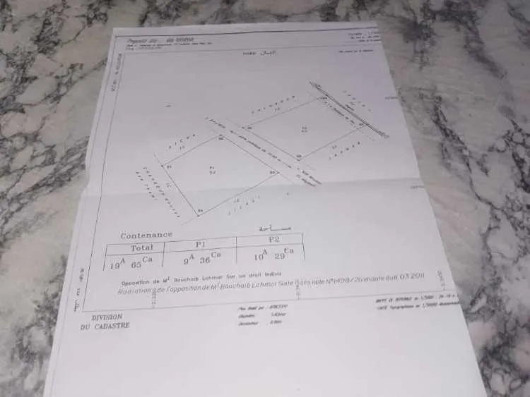 Terrain agricole titré 2000 m2