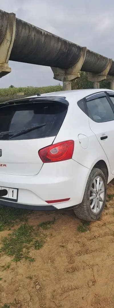 Ibiza Siat