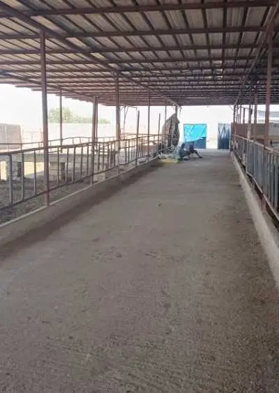 Ferme agricole titrée 2 ha avec villa et élevage b