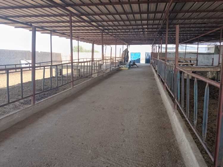 Ferme agricole titrée 2 ha avec villa et élevage b