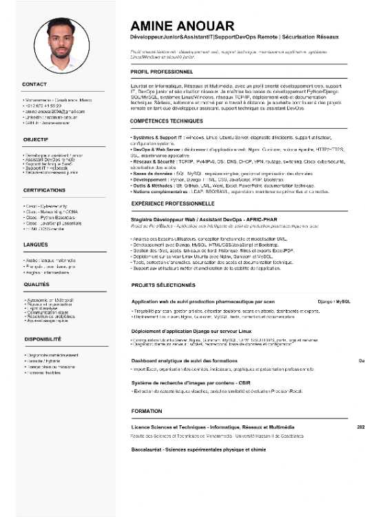 Développeur Web/Data spécialisé IA et Réseaux