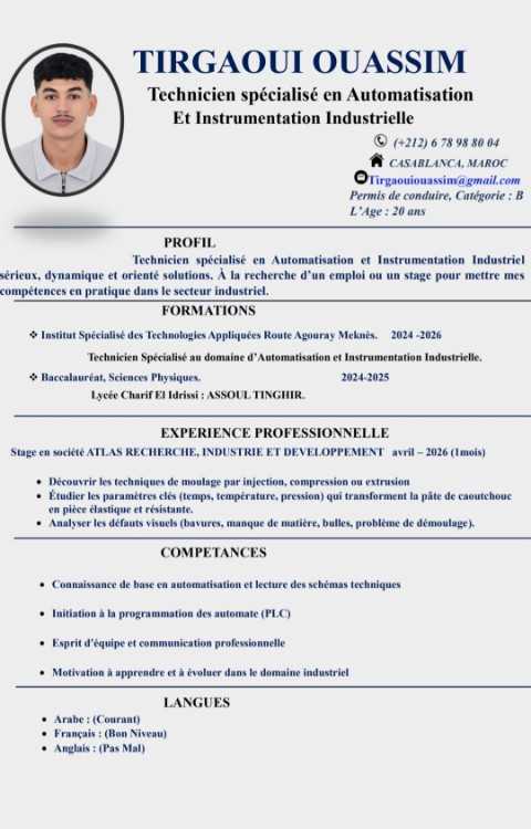 Automatisation et instrumentation industrielle