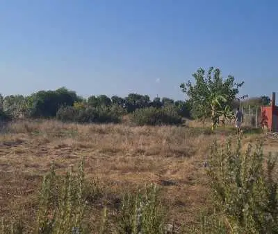 Terrain titré