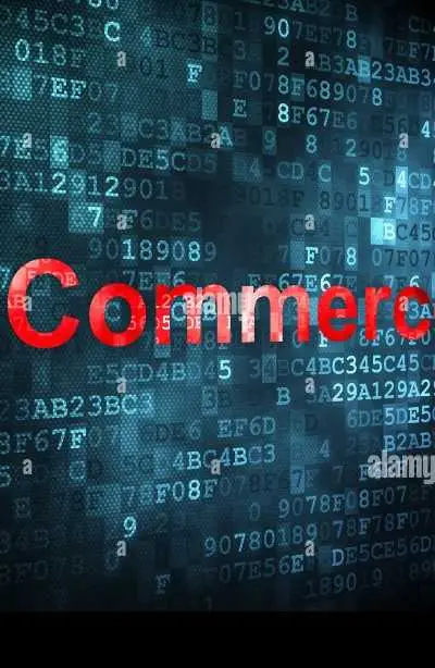 Responsable Commercial | Business Developer