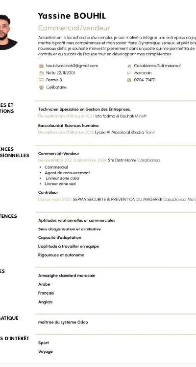 Commercial/vendeur/livreur