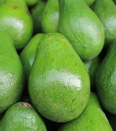 Avocats Bio bon prix