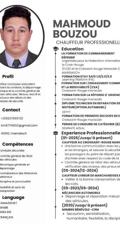 Chauffeur professionnel