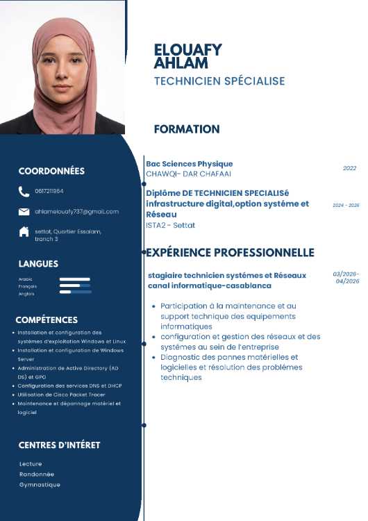 Technicienne spécialisée en systèmes et réseaux