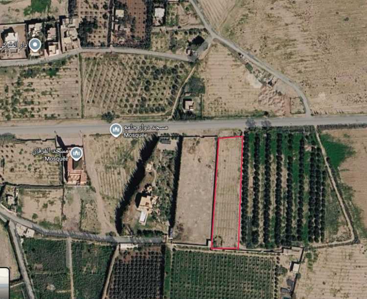 Terrain à vendre - أرض للبيع – موقع مميز