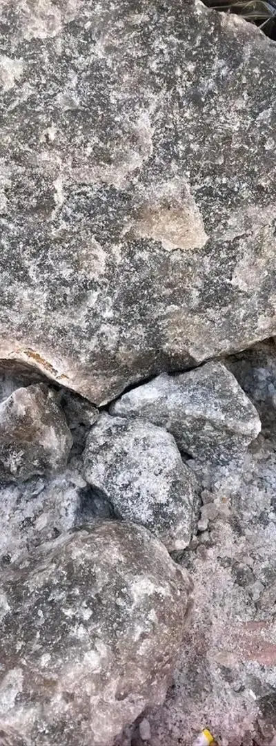 Sel de roche vivant
