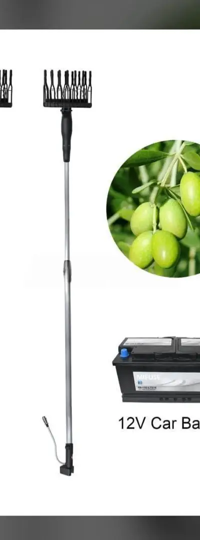 Récolteuse d'olives automatique