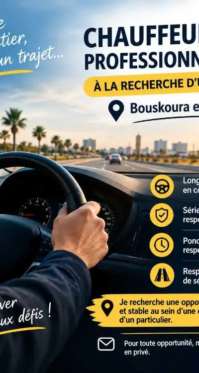 Chauffeur professionnel à la recherche d’un emp