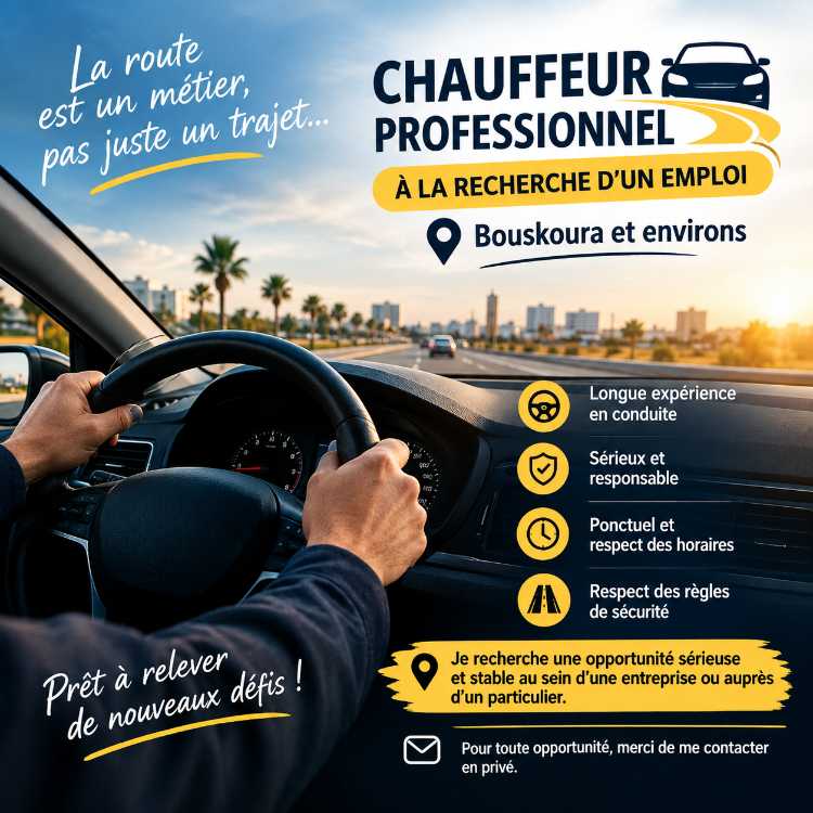 Chauffeur professionnel à la recherche d’un emp