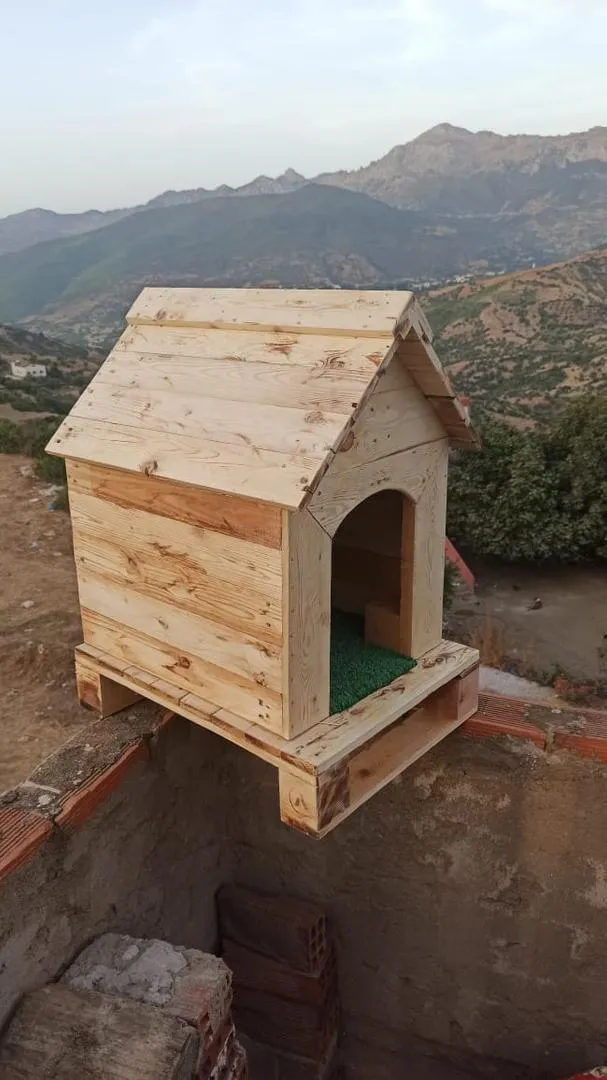 Maison pour chiens et chats, petite et grande