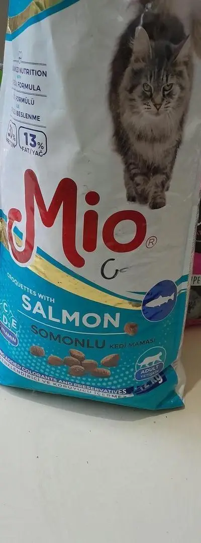 Croquettes 12kg saveur saumon, bonne qualité pour chats