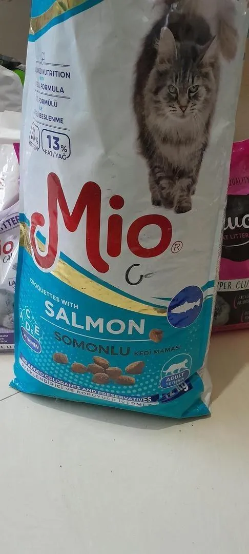 Croquettes 12kg saveur saumon, bonne qualité pour chats