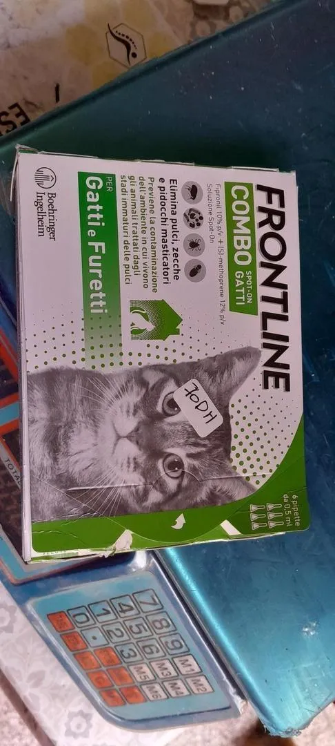 Médicament contre les puces pour chats