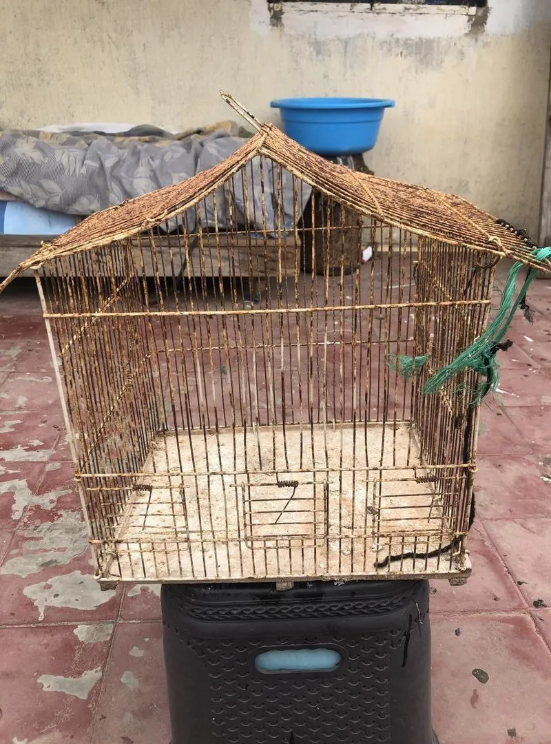 Cage en bon état
