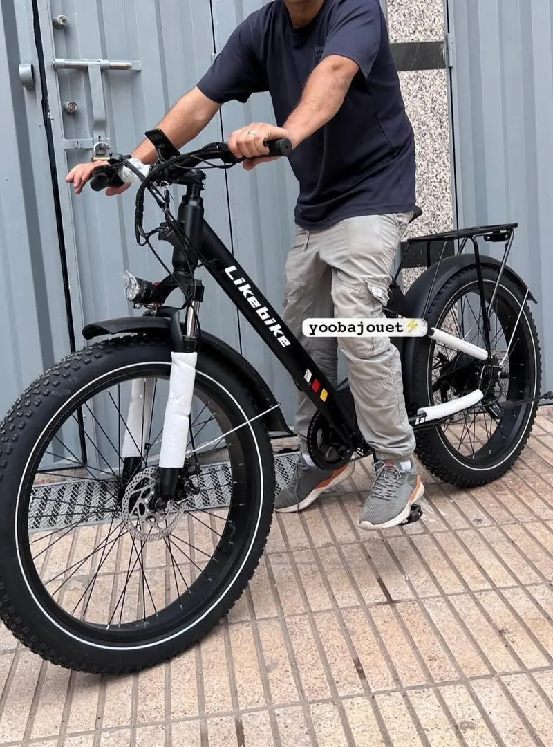 Vélo électrique LIKEBIKE Lander S 48V