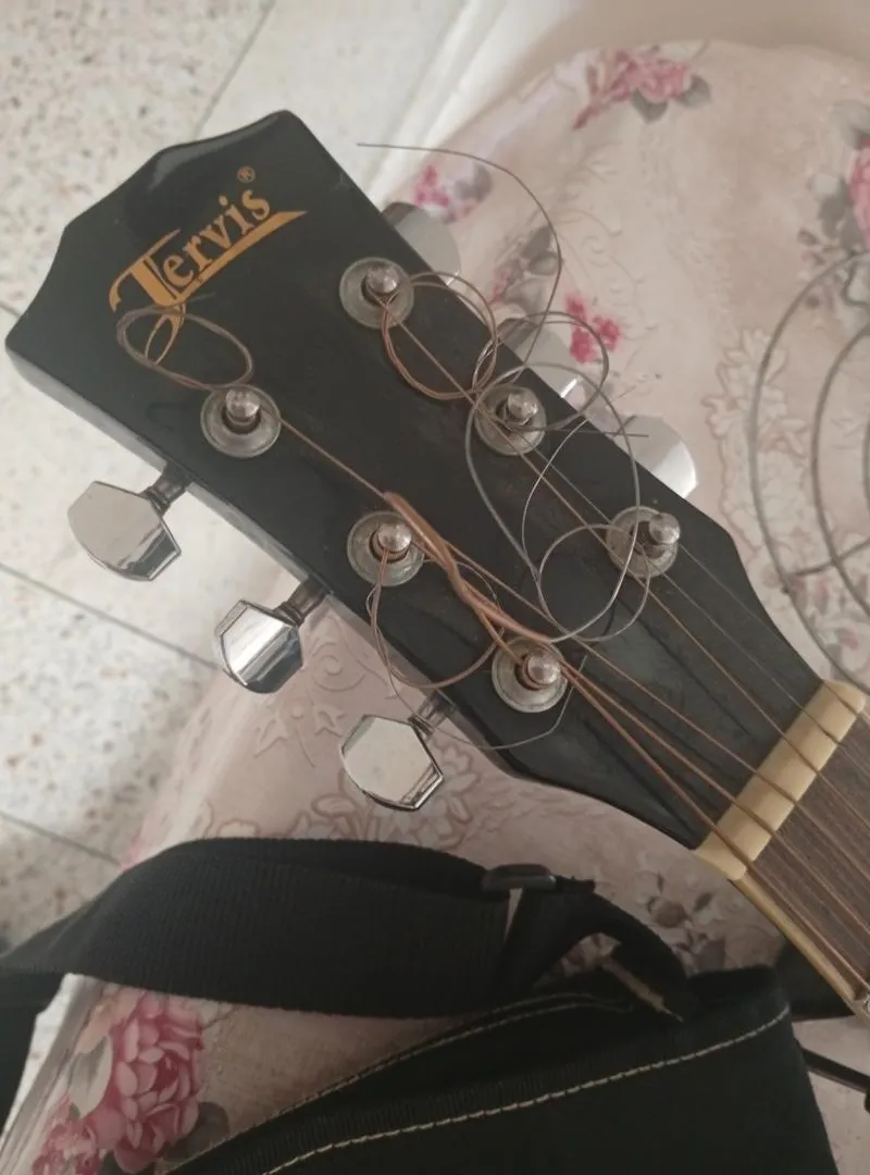 Guitare professionnelle à vendre