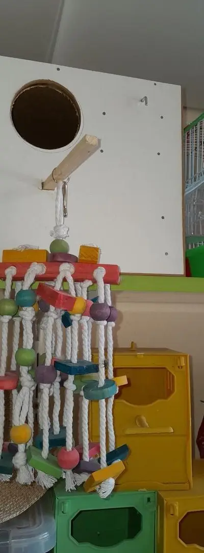 Grand jouet Calopitt pour les mettre avec eux dans la cage