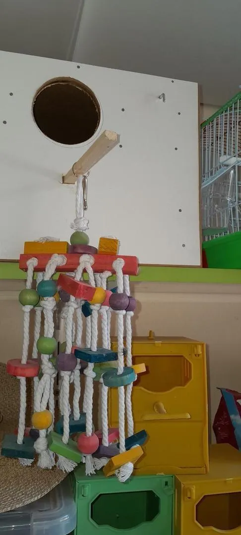 Grand jouet Calopitt pour les mettre avec eux dans la cage