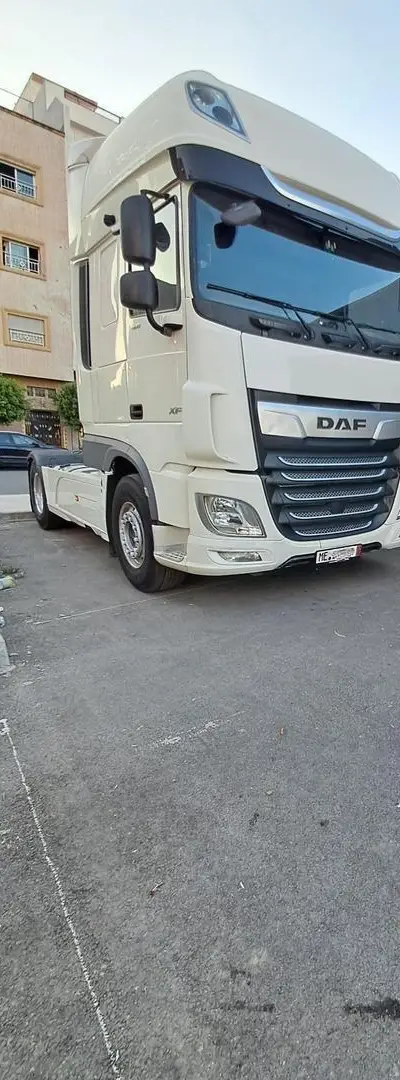 DAF XF 480