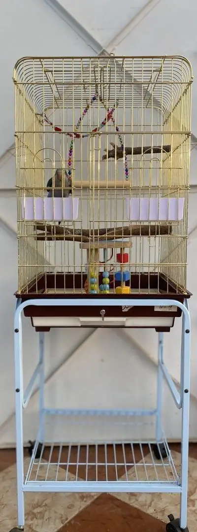 Quaker bleu bag 2026 avec cage