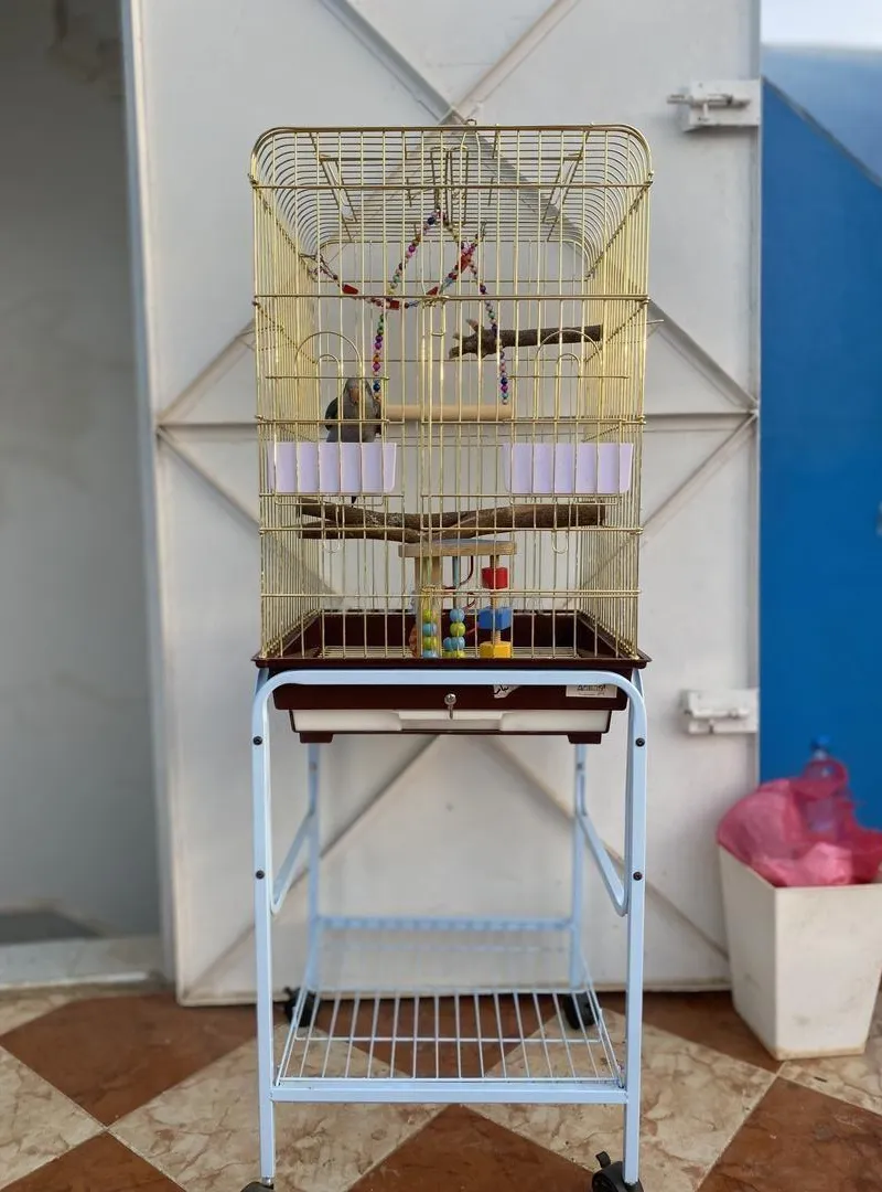 Quaker bleu bag 2026 avec cage