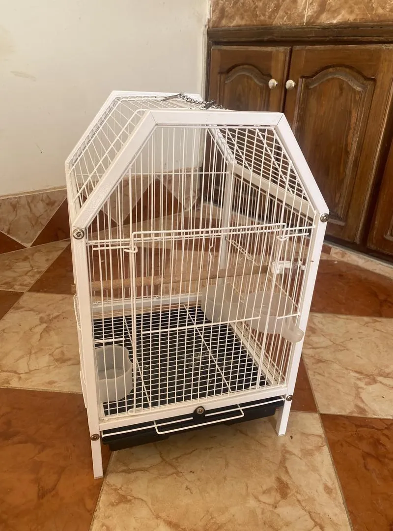cage de transport pour les perroquets