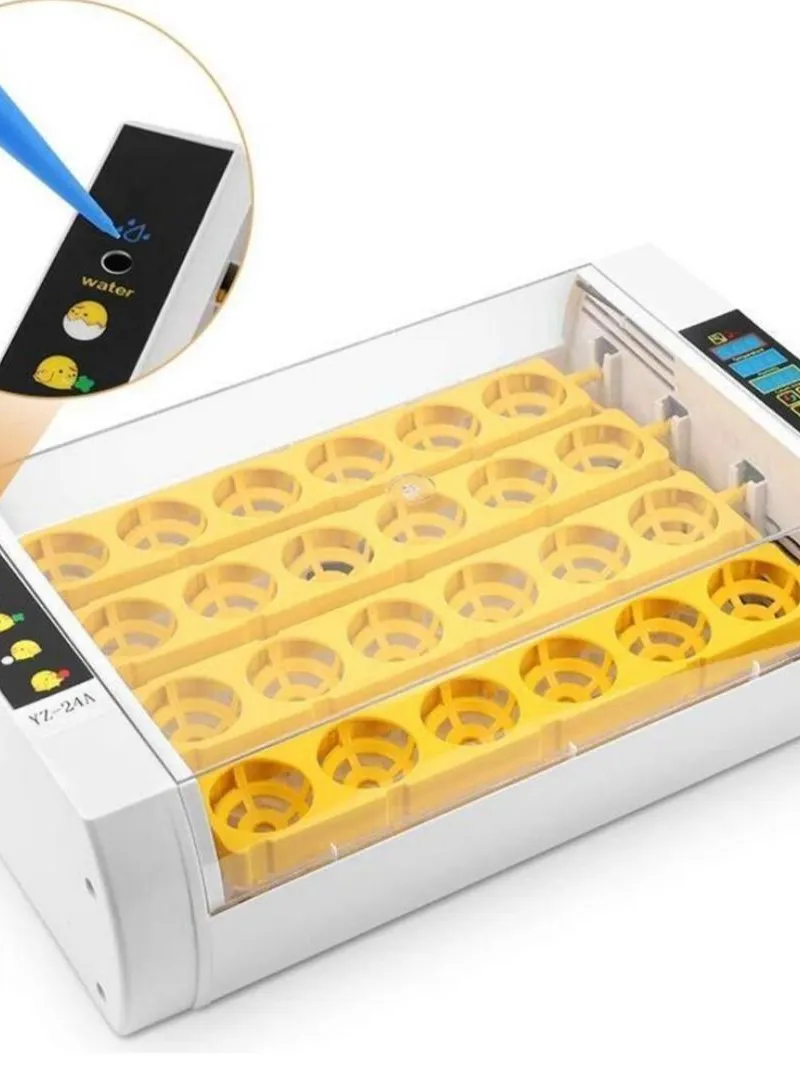 Incubateur d'œufs