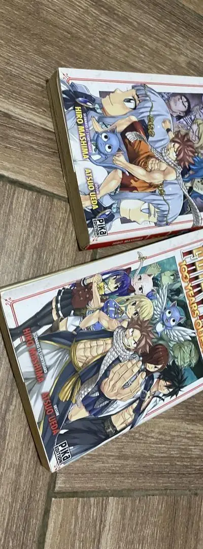 Fairy Tail 1 et 2
