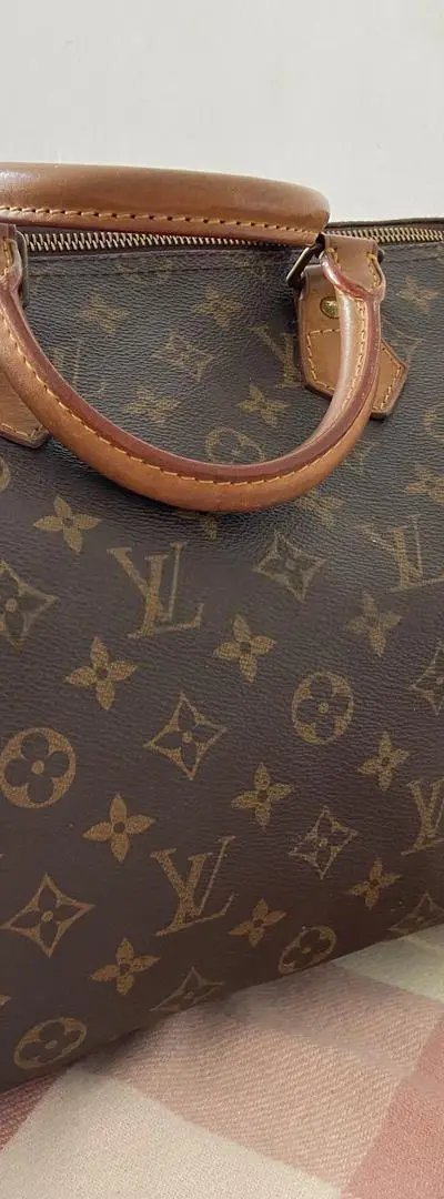 Sac Louis Vuitton marron Speedy original