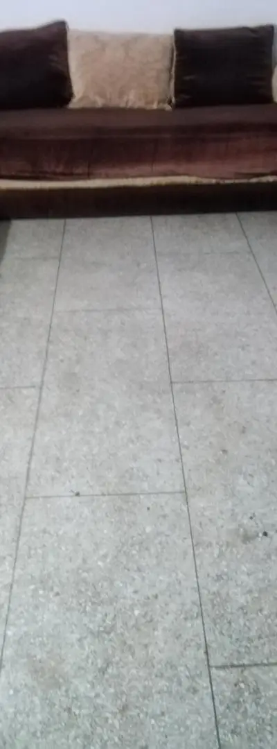 Salon Saddari