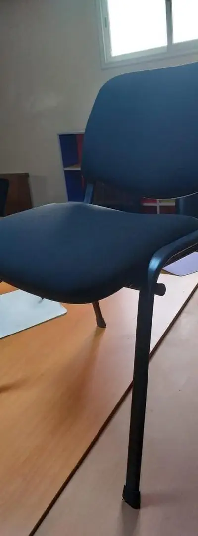 Chaise de Bureau Ergonomique Confort Professionnel