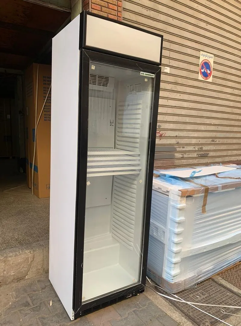 🧊 Réfrigérateur professionnel à porte unique