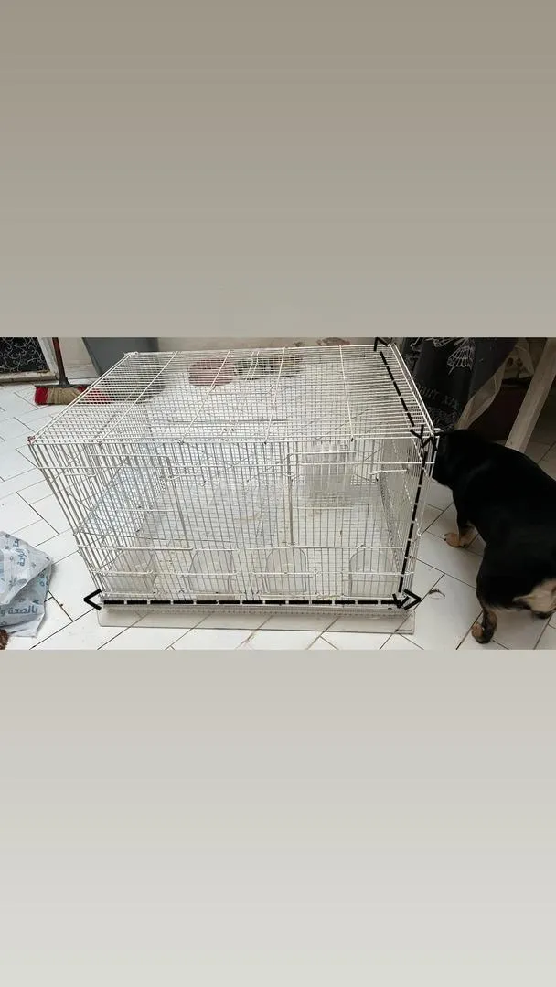 Grande cage à oiseaux à vendre
