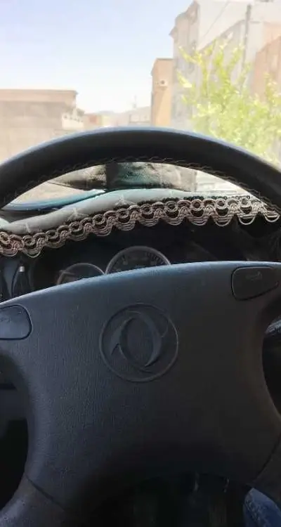 سائق سيارة او شاحنة