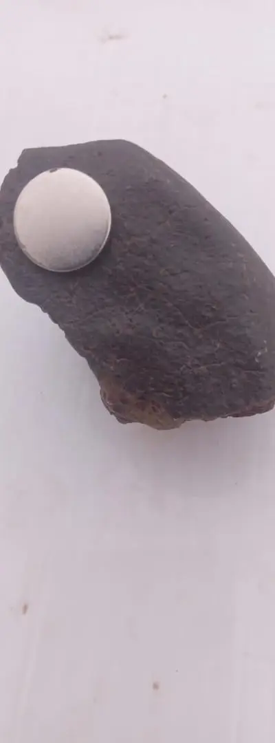 Météorite Sahara originale 250g