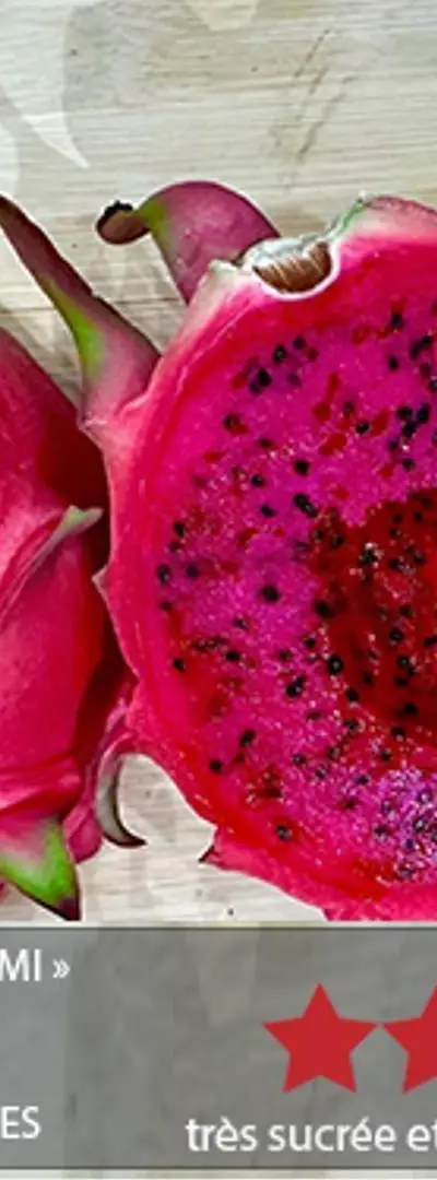 PITAYA AUTO POLLINISANTE Types de Pitaya