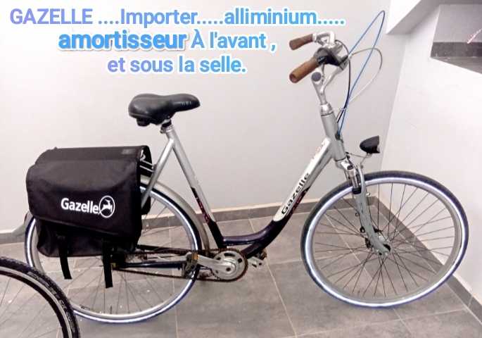 Gazelle importer