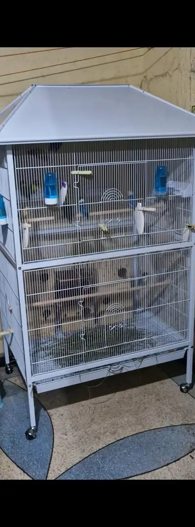 Cage pour oiseaux / Cage oiseaux
