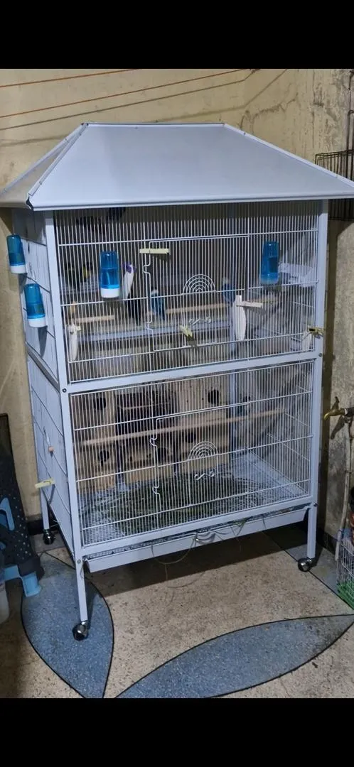 Cage pour oiseaux / Cage oiseaux