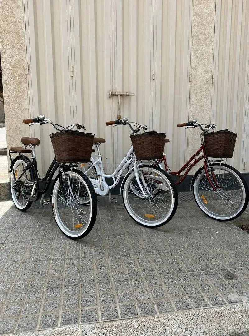 Vélo dame Haomeng classique 26 pouces
