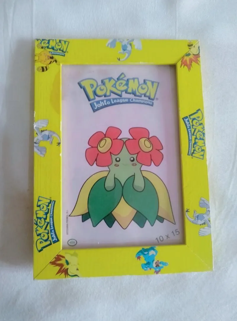 Cadre Pokémon Officiel Nintendo