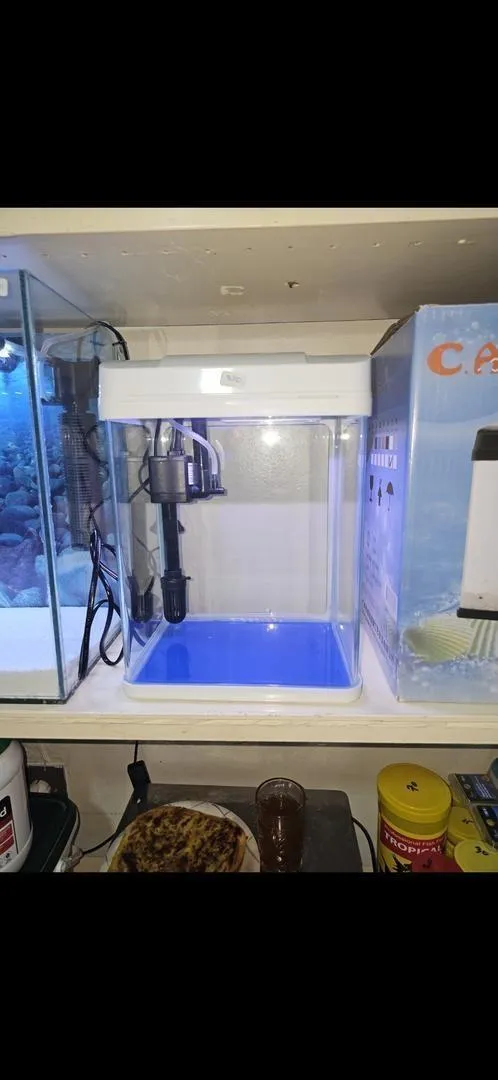 Aquarium avec tous les accessoires