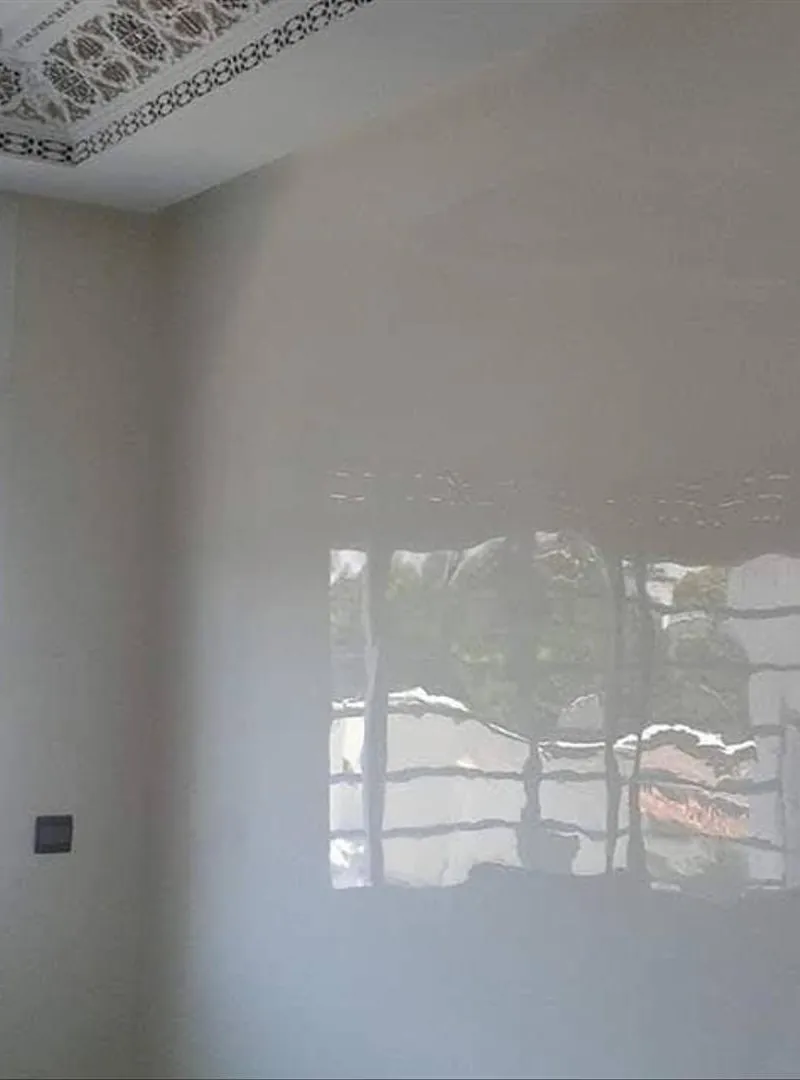 Peinture 🫟 et décoration