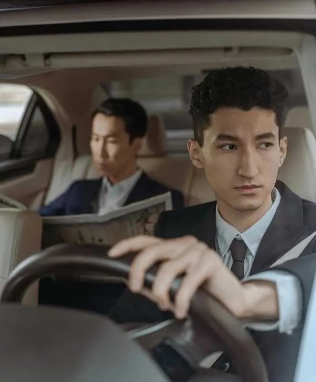 Chauffeur professionnel